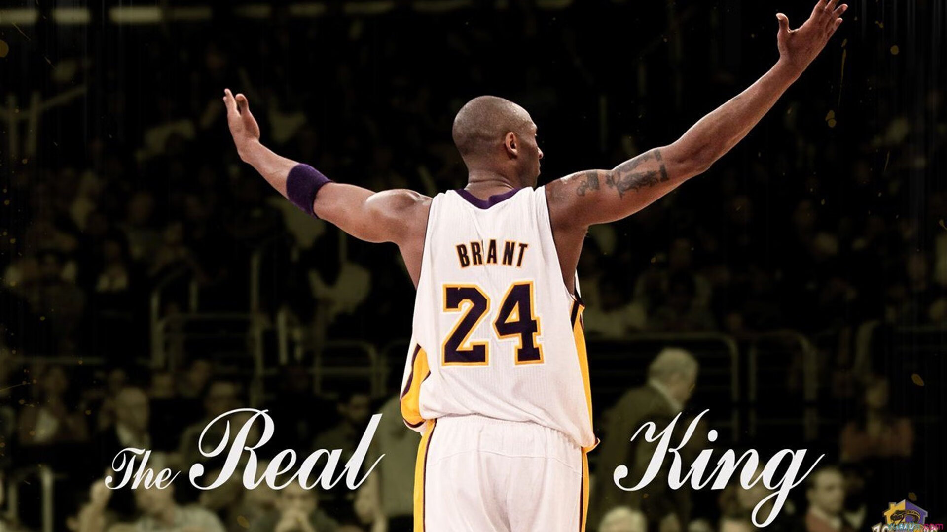 国王媒体开放日迎来大批记者参访，国王发布消息